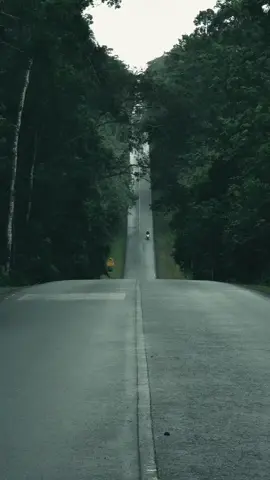 ให้ธรรมชาติโอบกอด #เขาใหญ่ #เที่ยวบ้างนะ 