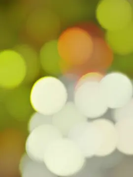 Rakhte Jante Hoi vaii 😌💔 || @TikTok @TikTok Bangladesh #foryou #fyp #unfrezzmyaccount #vairaltiktok #its_me_hanif_1 @RafsaN AhmeD 