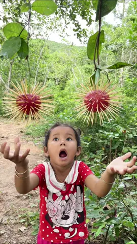 Survival Skills: The show SMART idea and USEFUL #bushcraft #camping #Outdoors #survival