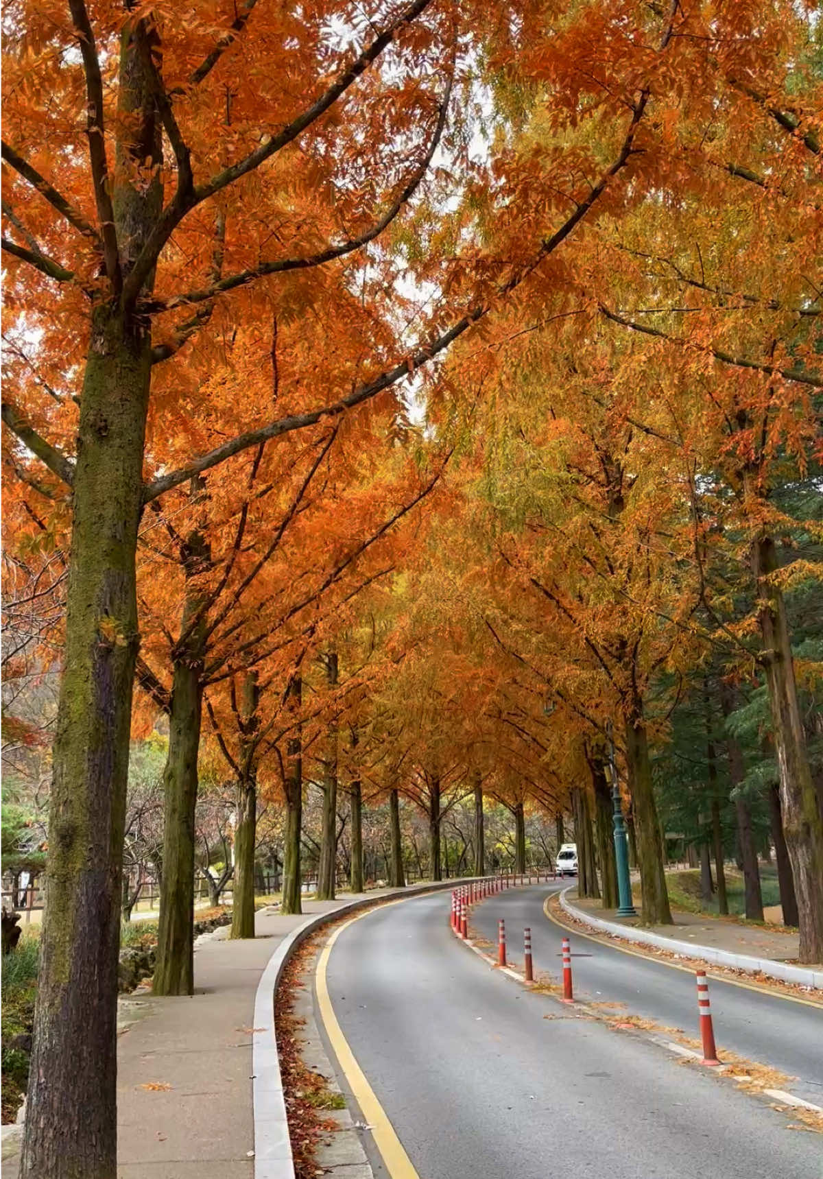 Geumosan 🍂 #autumnvibes #musimgugur #koreaselatan #explorekorea #gumi 