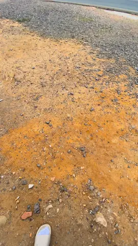 #فرنسا🇨🇵_بلجيكا🇧🇪_المانيا🇩🇪_اسبانيا🇪🇸 #مستغانمي27✌❤💪 ##عشعاشي_مستغانم_27 