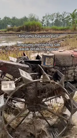 #CapCut 😔#petaniindonesia🇮🇩🇮🇩🇮🇩🌿🌿 #kubuta110 #PAK_NO gank🤪