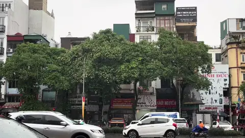 Trong mọi hoàn cảnh, bạn là người sưởi ấm cho chính bản thân mình… @Hà Nội Về Đêm ❤️ #hanoivedem❤ #langthanghanoi #nhachaymoingay #xuhuong2025 