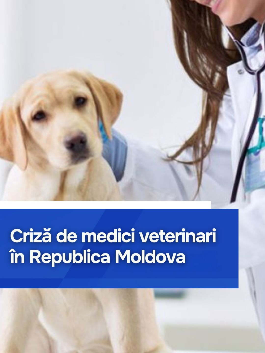 🐶 Criză de medici veterinari în Republica Moldova #fyp #foryou #foryoupage #moldova #втренде #втоп