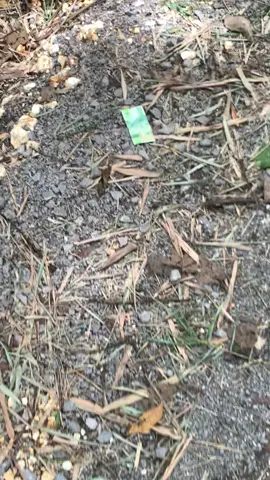 umume bar bayran🙏🏻