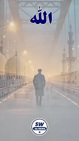 #wolofalserignembayediakhate #senwolofaltv #bokkalebaaxul #Senegal #malikthiaw 