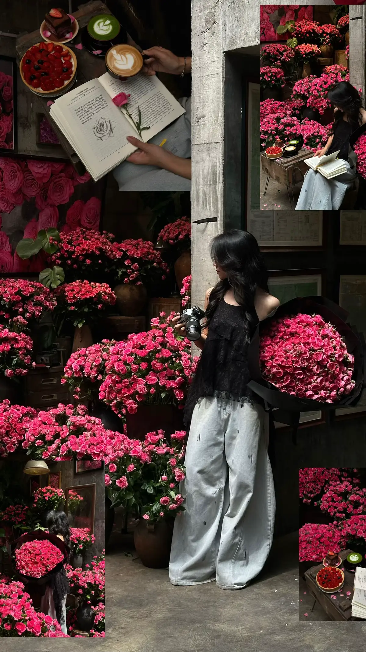 Mùa hồng sofia về 💞🎀💖🌷