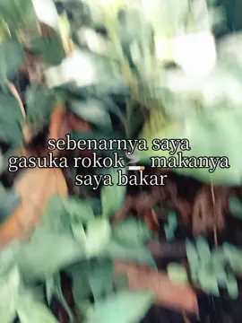 #CapCut #pyppppppppppppp #gaksukarokok🚭 