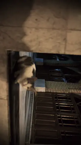 فيديو مال مبتدئين ❤️ . 