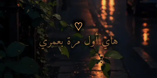 اغنية هاي أول مرة بعمري أشوف إنسان #اول_مره #حمزه_المحمداوي #هاي_اول_مرة_بعمري_اشوف_انسان #fyp #foryourpage 