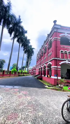 Jessore vibes only 😴🙌 #tiktok #nature #jessore  #bangladesh🇧🇩 #explore  @TikTok @For You 