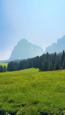 Vinland 💚 #vinland #dolomites #nature #mountains #alps 