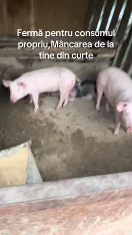 #Fermă#Mâncare naturală 