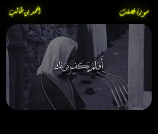 سورة فصلت - أحمد بن طالب #احمد_بن_طالب #اكسبلور #قرآن #قران_كريم #quran 