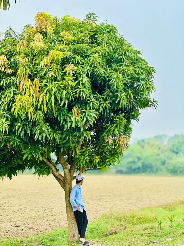 #outfit cowok berwarna #outfit colord gay #foryoupage #bdtiktokofficial #100kviews 