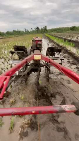 🤳#teamngiwomadang #ngawi24jam #fyp 