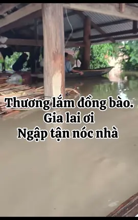Thương lắm bà con ơi 😭😭😭lũ lụt tại ayunpa gia lai cũ 😪😪😪#gialaitoiyeu❤ 