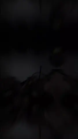 Thương thì thương hết mình, mà đã tuyệt tình thì cuộc đời ai người đó sống. Cũng chỉ là trả lại bản thể của hai người dưng nhưng cộng kèm 1 phần kí ức thôi mà 😌