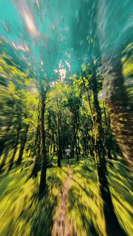 🌿নিরব প্রকৃতি 🌿