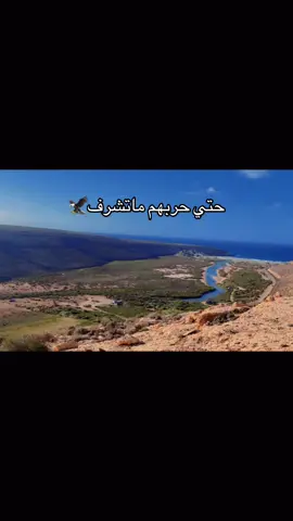 عارفينهم ويش داسين🔥#الشتاي_رمزي_بوبرمه🔥🔥 #طبرق_ليبيا🇱🇾✈️ #أكسبلورر #مشاهدات #شعب_الصيني_ماله_حل😂😂 