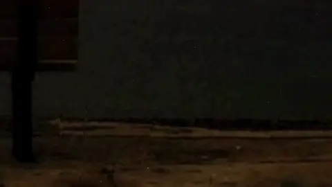 اذكر الله وذكر غيرك |تدبروا . . . #المنشاوي #قرآن_كريم #سورة_الأحزاب 