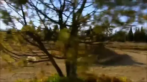 LE CHEMIN DU DESTIN EP 01 AMELIA APRREND QUELLE EST ENCEINTE DE LUIS ET QUE LUIS EST MARIER AVEC UNE AUTRE EN L'ABONDONNENT CAR ELLE LES ENCEINTE ET SON PÈRES CROIS QUE C'EST PÉDRO QUI L'AVAIS DÉSONNORES ALORS QUE NON CE N'EST PAS LUI LE COUPABLES ET QUAND L'ENFANT VAS GRANDIRE ET ELLE LA DÉTESTERAS BEAUCOUP BEAUCOUP CAR L'AMOURS DE ÇA VIE NE VOULAIS PAS DU TOUT LUI ENTTENDRES PARLER ET AUSSI DE LE RE VOIR #fypシ゚viral🖤tiktok #fypシ゚viral🖤tiktok☆♡🦋myvideo❤️❤️🥰🥰 #myvideo #pourtoi #visibiliter 