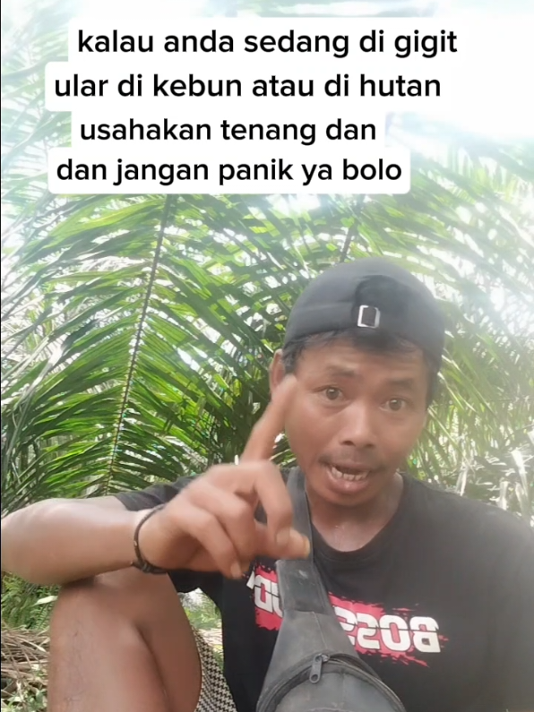 jika anda di gigit ular,tetap tenang dan jangan panik #hiburan #komedikocak #kuli #indonesia🇮🇩 #fypviraltiktok🖤シ゚☆♡ 