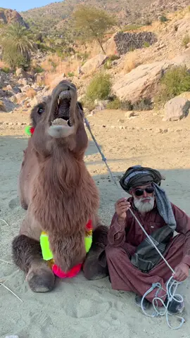 #creatorsearchinsights 