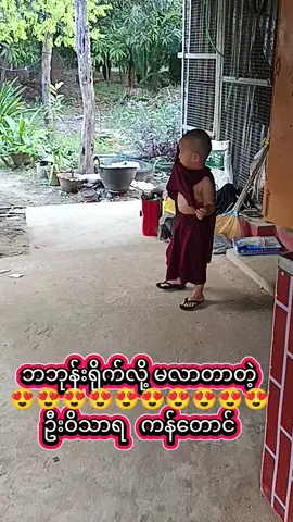 @ဦးဝိသာရ ကန်တောင်  ဘဘုန်းက ရိုက်လို့တဲ့😍😍😍😍😍