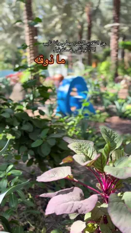 #الشعب_الصيني_ماله_حل😂😂 #متابعه_ولايك_واكسبلور_احبكم #إعادة_نشر #منتجع_بصمة_البكيرية 