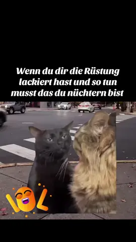 #Meme #fyp #funny #lustig 