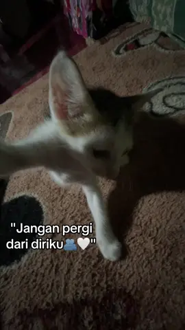 #fyppppppppppppppppppppppp @_02𝓳𝓸𝔂𝔂✰ 🤍