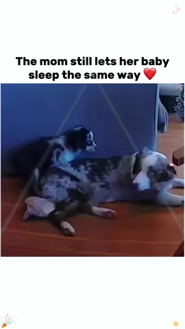 #foryou #movie #tiktok #fyp