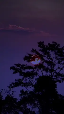 #হুম😅💔🥀 #🙂🥀 #foryou🥺💔🥀😂🖤oryou🥺💔 