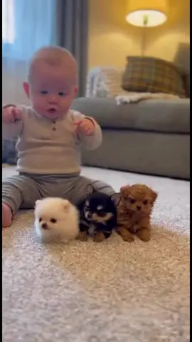 #humor🤣🤣 #apoyandoando❤️ 🇨🇴🇨🇴