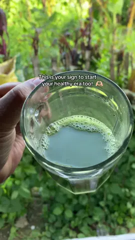 Herbal Nation Barley Grass Juice Powder 100% Pure Organic Healthcare Supplement Para sa ating overall health and wellness #herbalnationbarley #barleygrasspowder #barleygrass #barleygrassjuicepowder #healthcare 