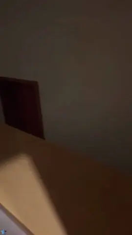 Unlucky cat#funnycats #funnyanimals #petvideos #cat #catsoftiktok