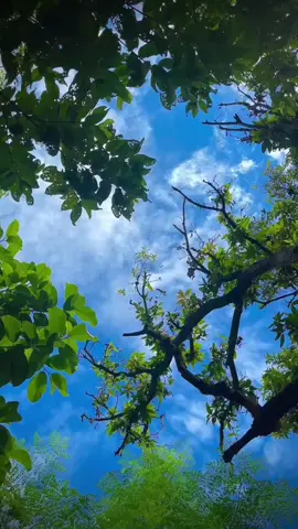 #كلام_من_ذهب 