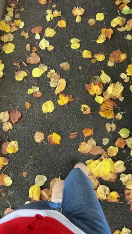 #autumn #playback #lyrics #fever #solo @TikTok 