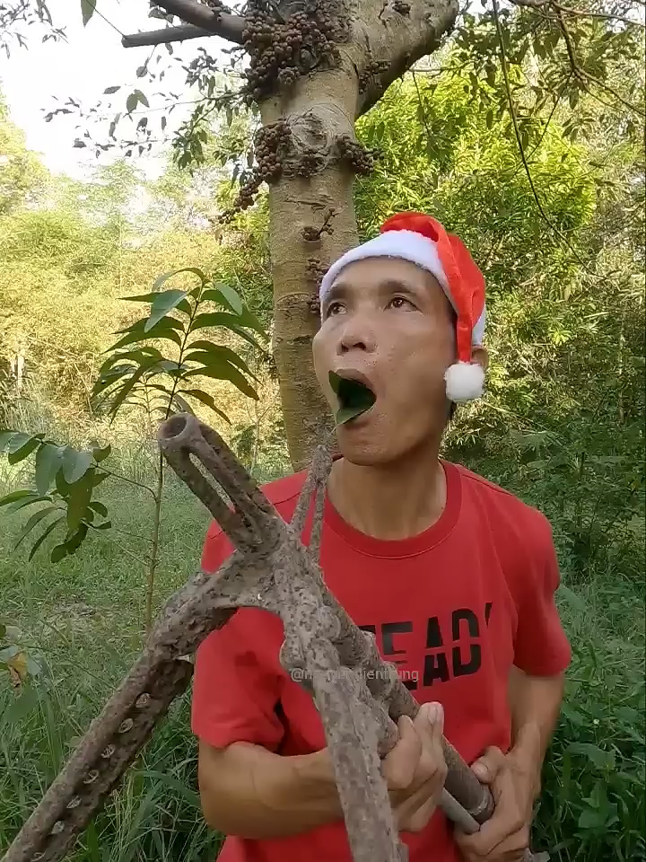 #entertainment #birdsounds #shorts - Nguyễn Điền Trung