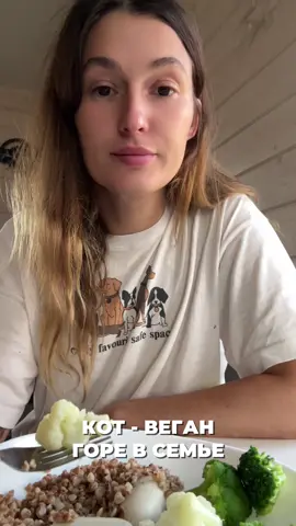 Продолжаем наши мукбанги #кот #собакиикошки 