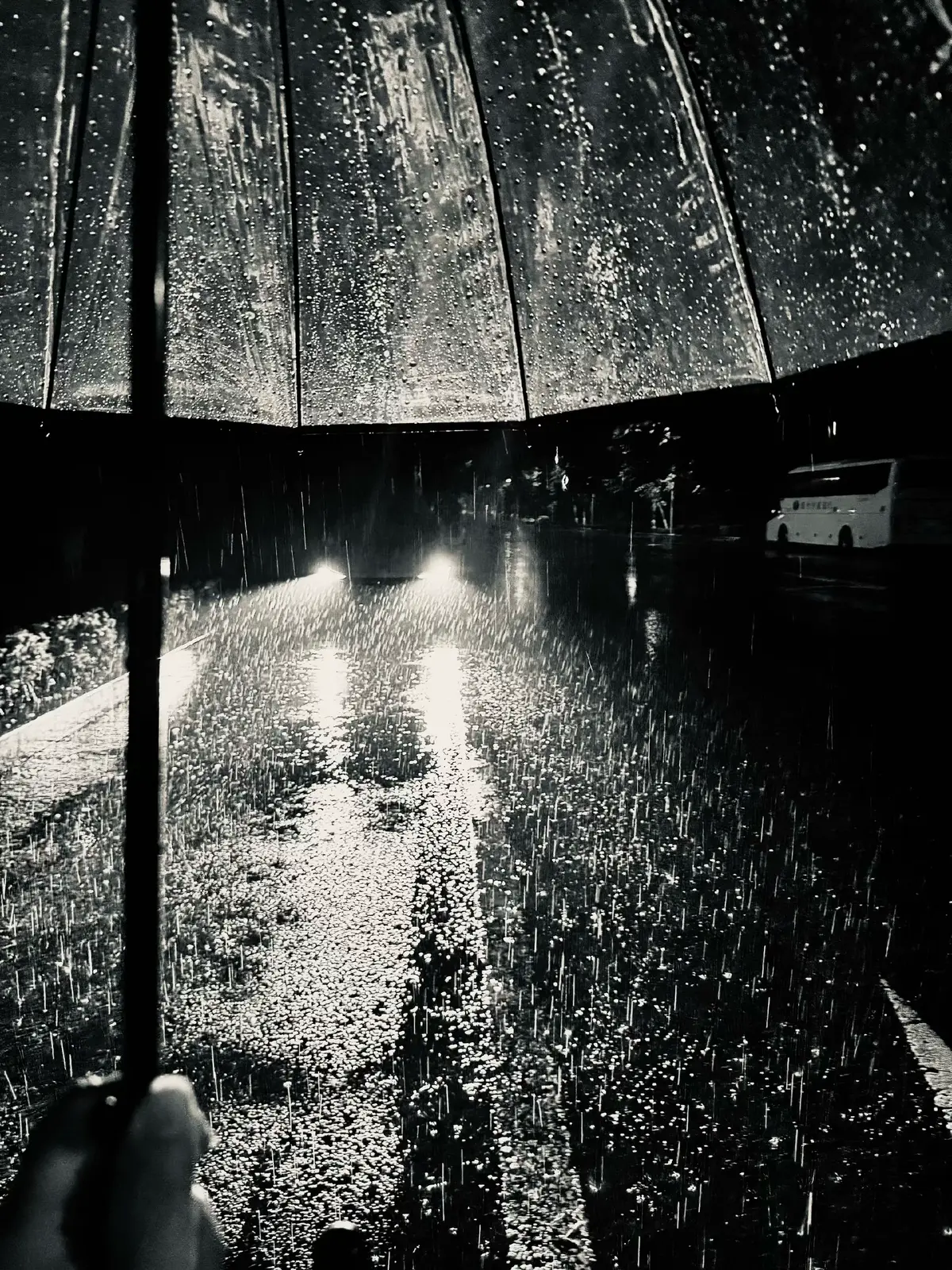 有时候，不是世界太复杂，而是人心太多疑。