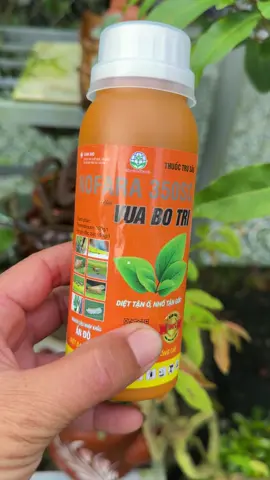 vua bọ trỉ #shopbinhphukiengiadung #phanbonla #chephamsinhhoc #vuabotri 