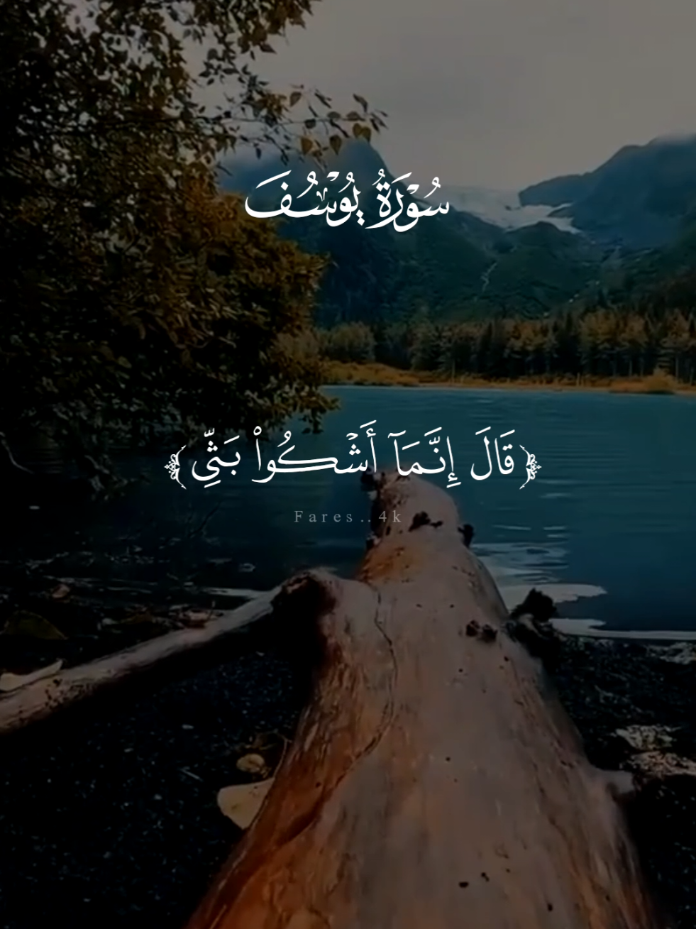 #قران #اسلام_صبحي #quran #قران_كريم #سورة_يوسف 