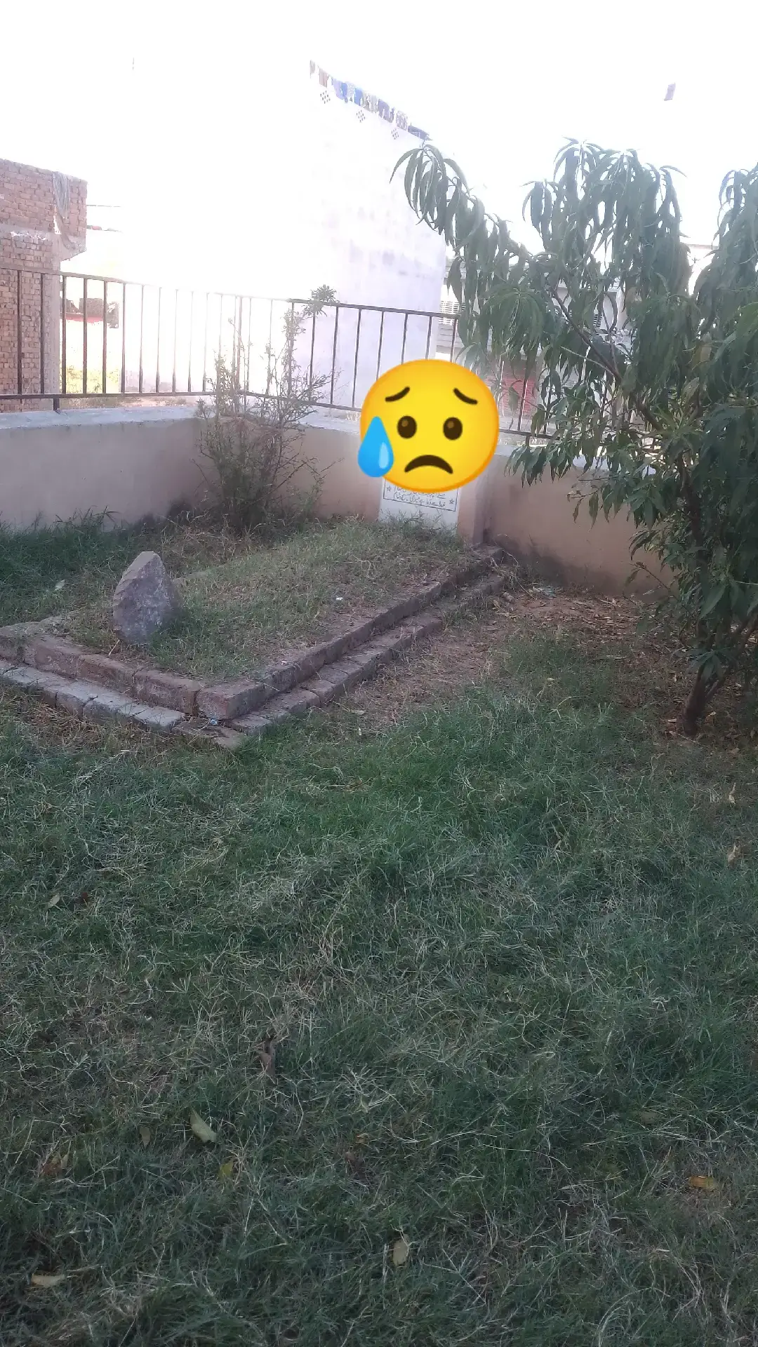 #vierel #CapCut #oferez 