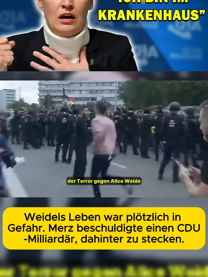 Weidels Leben war plötzlich in Gefahr. Merz beschuldigte einen CDU-Milliardär, dahinter zu stecken.