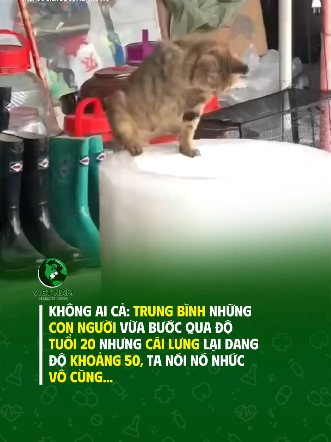 Ta nói nhức vô cùng #vnhealthnews #tiktoknews