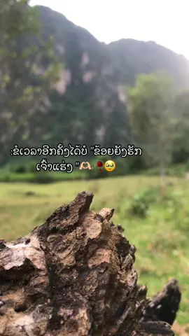 #ขี้นหีดไดรบ้างเนี่ยย🥹🙏🥀 #สตอรี่ม้ง🦋✨🍏 #ຝາກກົດໄຫ້ແນ່ເຂົາລັດໂຕເກົ່າໄປແລ້ວ🙏🥹💐 