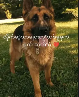 #ရက်စက်တယ်ဗျာ😭😭💔💔 #foryoupage #viral #viralvideo #viewsproblem😭 