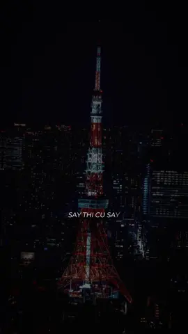 Say thì cứ say… #bietbuon #xuhuong #typ #nhachaymoingay #fbtxuhuong 